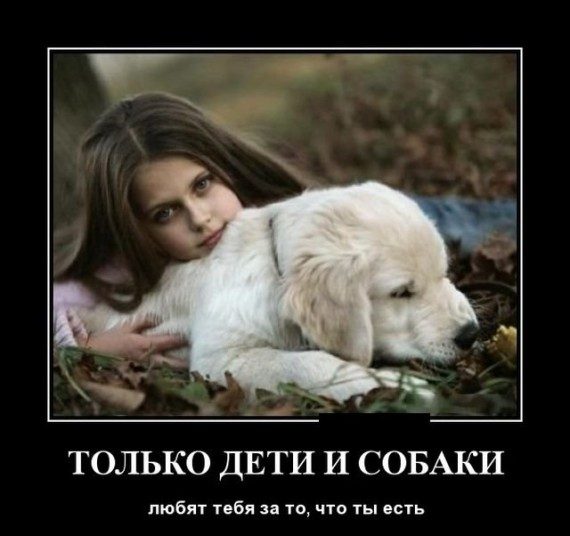 Прикольные демотиваторы дня!