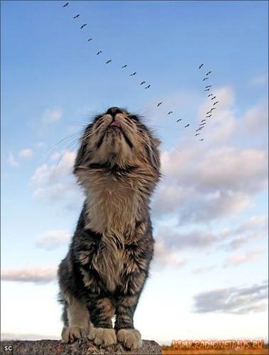 Давайте улыбаться вместе! :) Давайте улыбаться вместе! :)