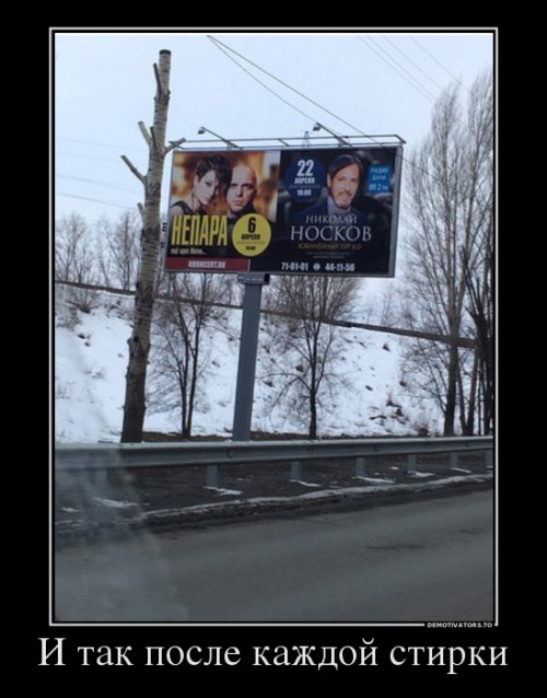 Свежие демотиваторы-приколы (13 шт)