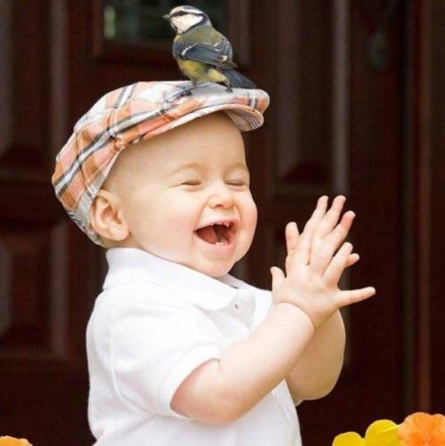 Прикольные картинки скрасят понедельник (40 шт)