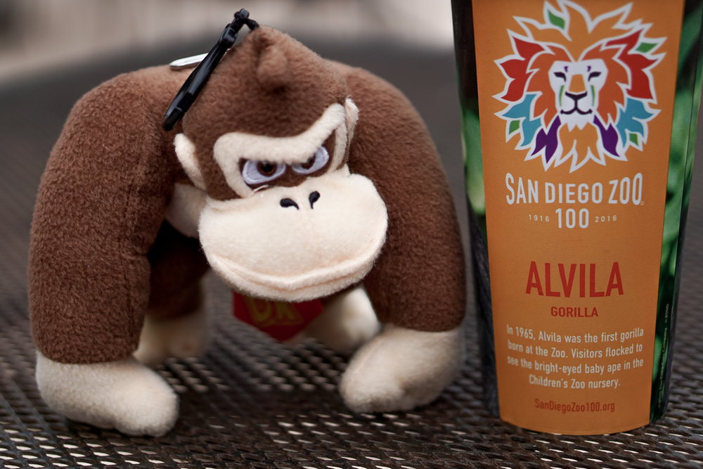 San Diego Zoo Spring 2016-21.jpg