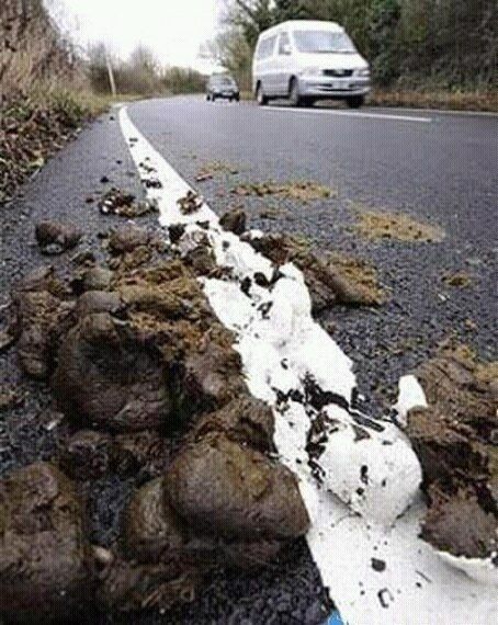 Улыбнуло Улыбнуло авто и мото,автоновости