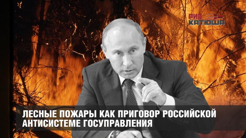 Лесные пожары как приговор российской антисистеме госуправления