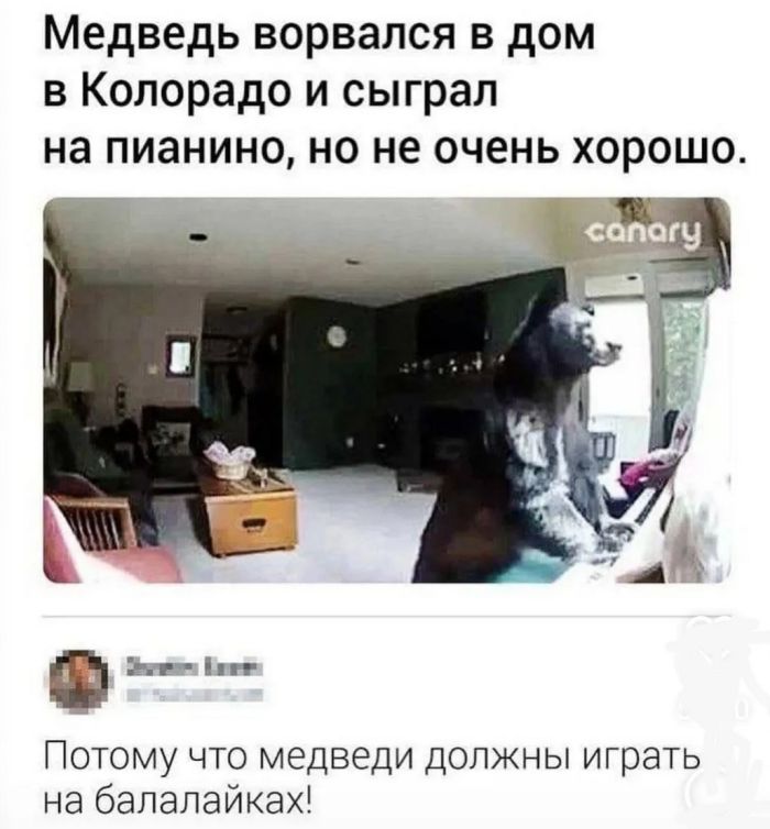 Комментарии с перчинкой — приправляют пост, как острый соус 