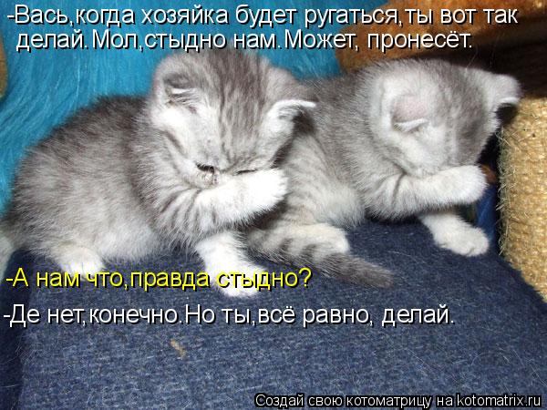 Мысли вслух :)