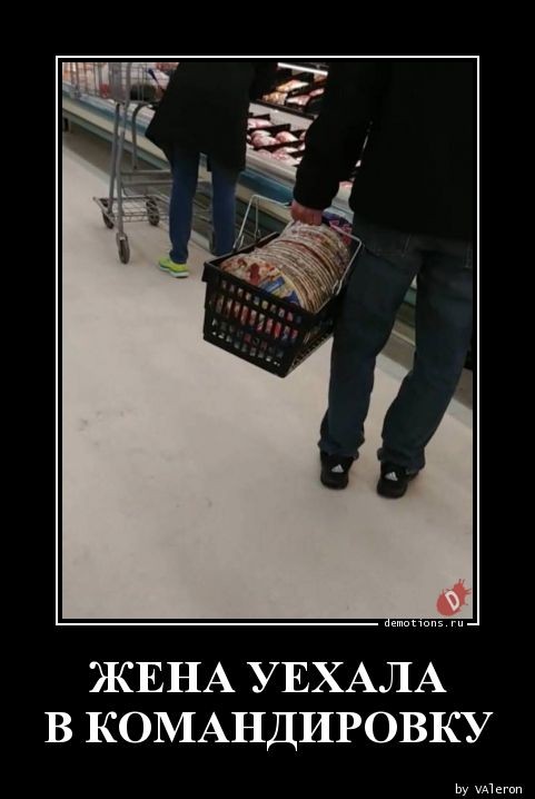 Традиционная коллекция прикольных демотиваторов на любой вкус 