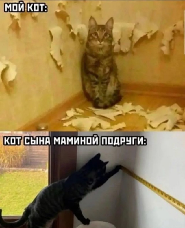 Прикольные мемы: «Устроился удалёнщиком…» Прикольные мемы: «Устроился удалёнщиком…»