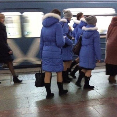 Системный сбой в матрице?! 