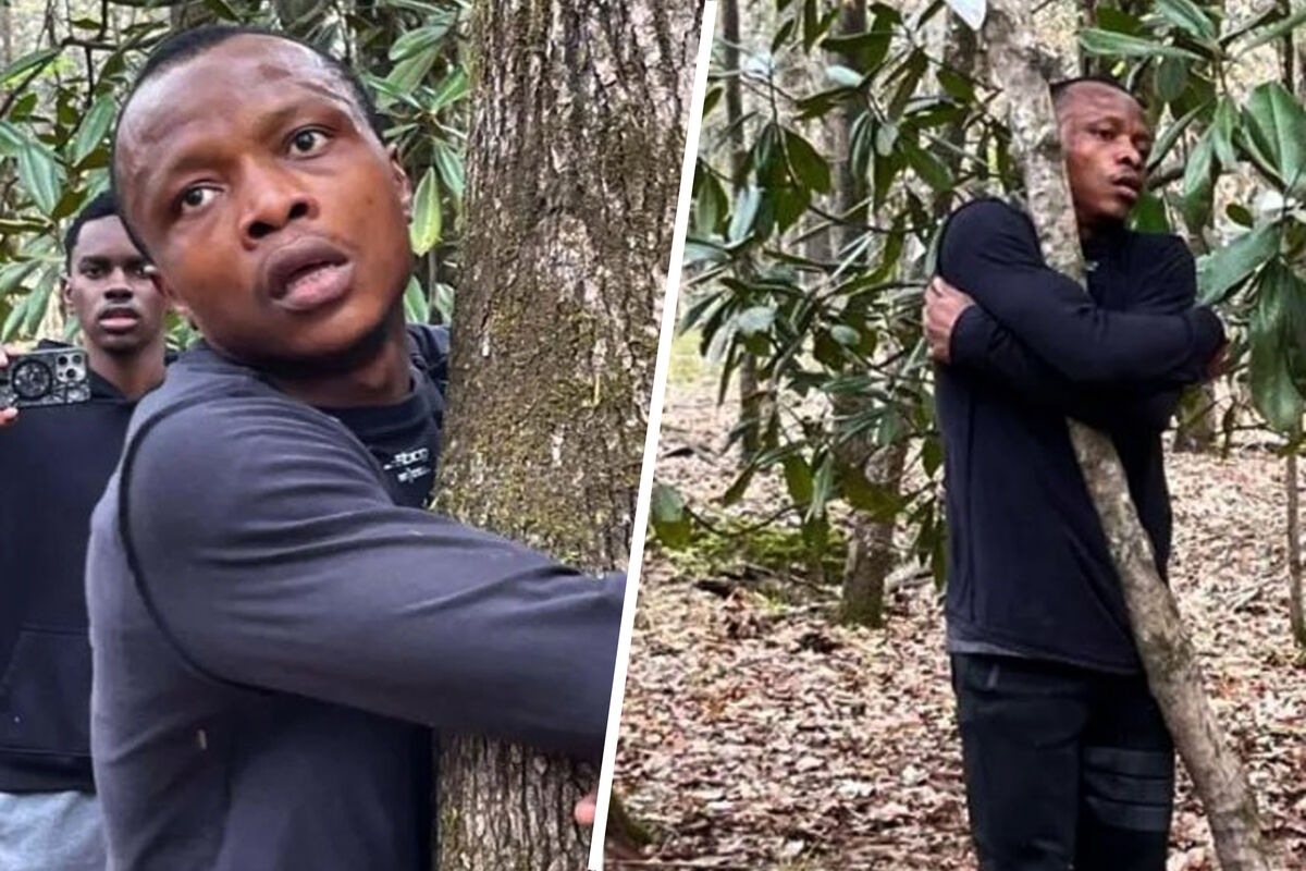 UPI: мужчина из Ганы обнял за час 1123 дерева и попал в Книгу рекордов Гиннесса