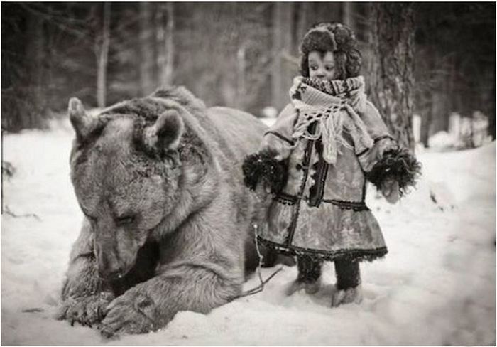 В России по улицам ходят медведи
