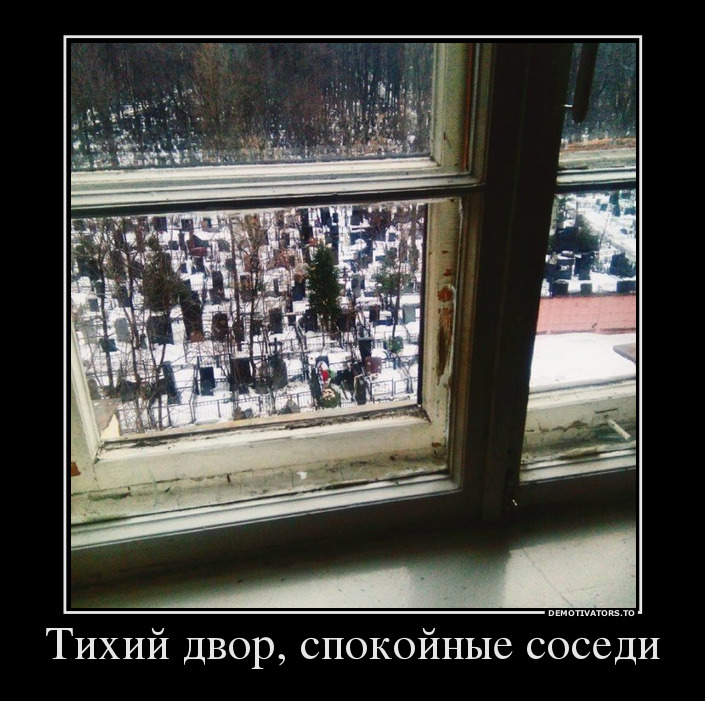 Тихий двор, спокойные соседи демотиватор, юмор