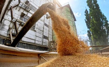 Дунайский схрон на черном рынке оружия: Для чего нужен «зерновой коридор» Украина — Румыния