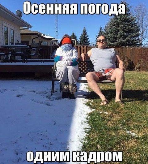 Баянистая годнота