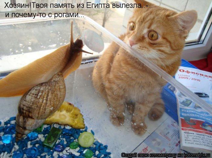 Мысли вслух :)