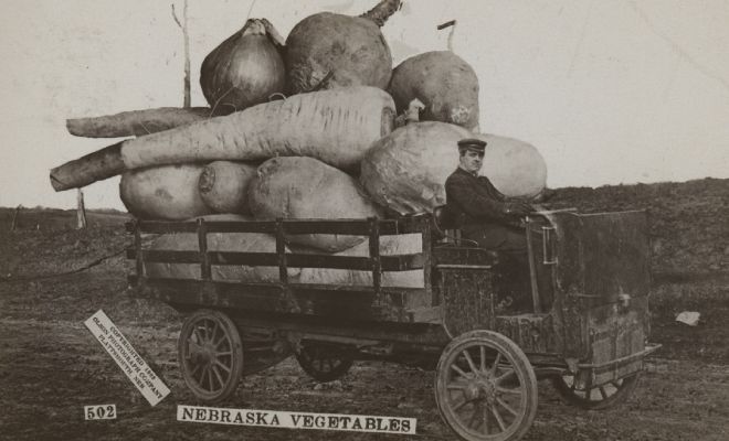 Более 100 лет назад люди делали фото с зайцами больше человека и гигантскими овощами. Смотрим фотошоп из 19 века Более 100 лет назад люди делали фото с зайцами больше человека и гигантскими овощами. Смотрим фотошоп из 19 века