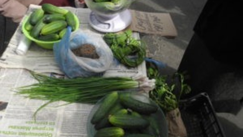 Пучок-лучок: как бедные орловцы превращают подножный корм в прожиточный минимум