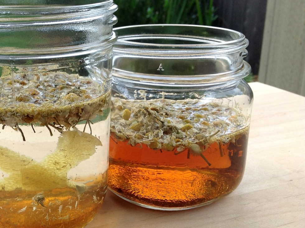 Простое растение избавило меня от мучения!