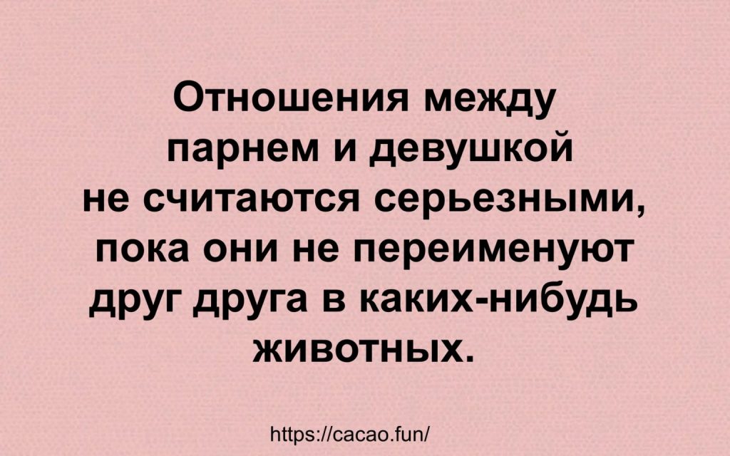 Десятка анекдотов для поднятия настроения Десятка анекдотов для поднятия настроения