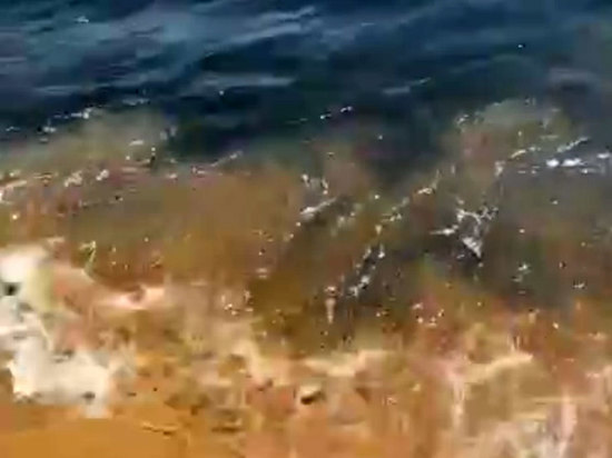 Туристы пожаловались на море в Крыму: черная, вонючая вода