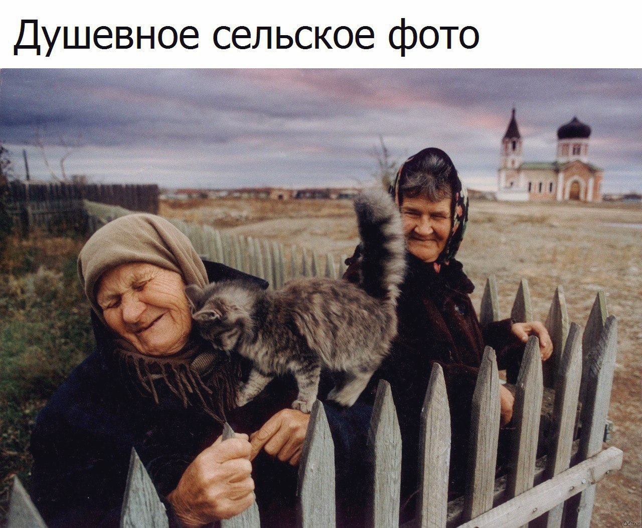 Прикольные, зачетные и классные фотографии с надписью со смыслом картинки с надписями,красивые фотографии,приколы,прикольные картинки,угарные фотки,юмор