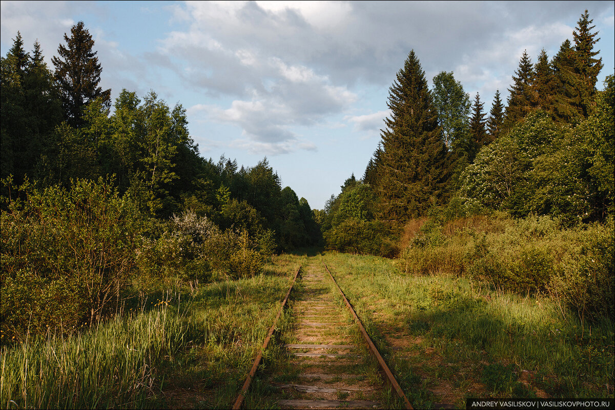 Заброшенный железнодорожный мост в Новгородской области: шедевр промышленной архитектуры автотуризм