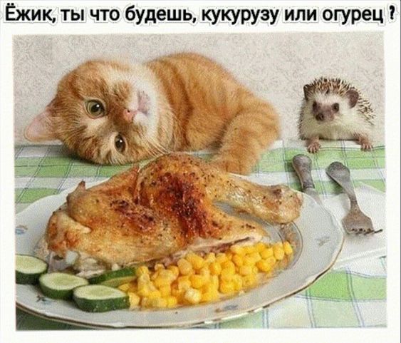 Свежие картинки с надписями 