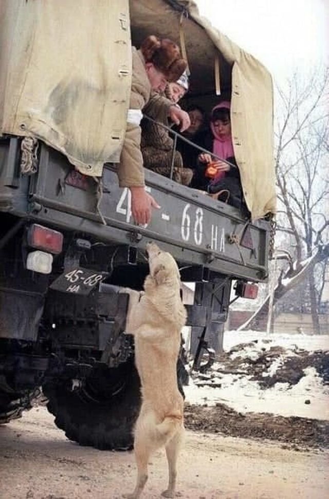 Мужчина прощается со своей собакой во время эвакуации мирного населения из охваченной войной Чечни. 1995 год
