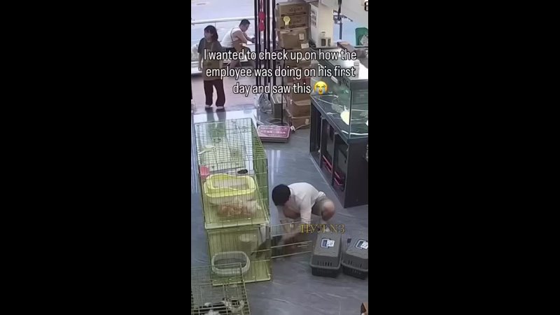 Video: Клип @donetskdnr_vk