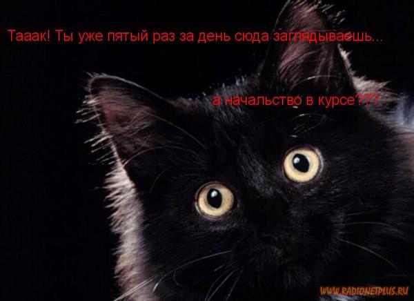 Давайте улыбаться вместе! :) Давайте улыбаться вместе! :)