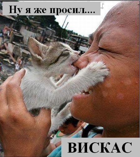 Мысли вслух :) Мысли вслух :)