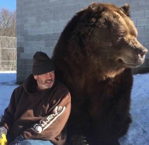 Веселые и забавные моменты из нашей жизни в фотографиях