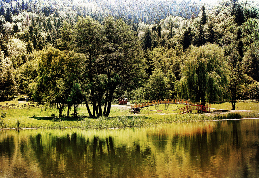 little red bridge by Cristina B on 500px.com