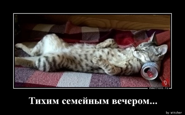 Демотиваторы – приколы: «Когда врач разрешил Валюхе не более 5-6 пельменей в день…»  г,Москва [1405113]