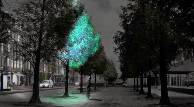 6. Биолюминесцентные деревья Reired, прогноз, технологии