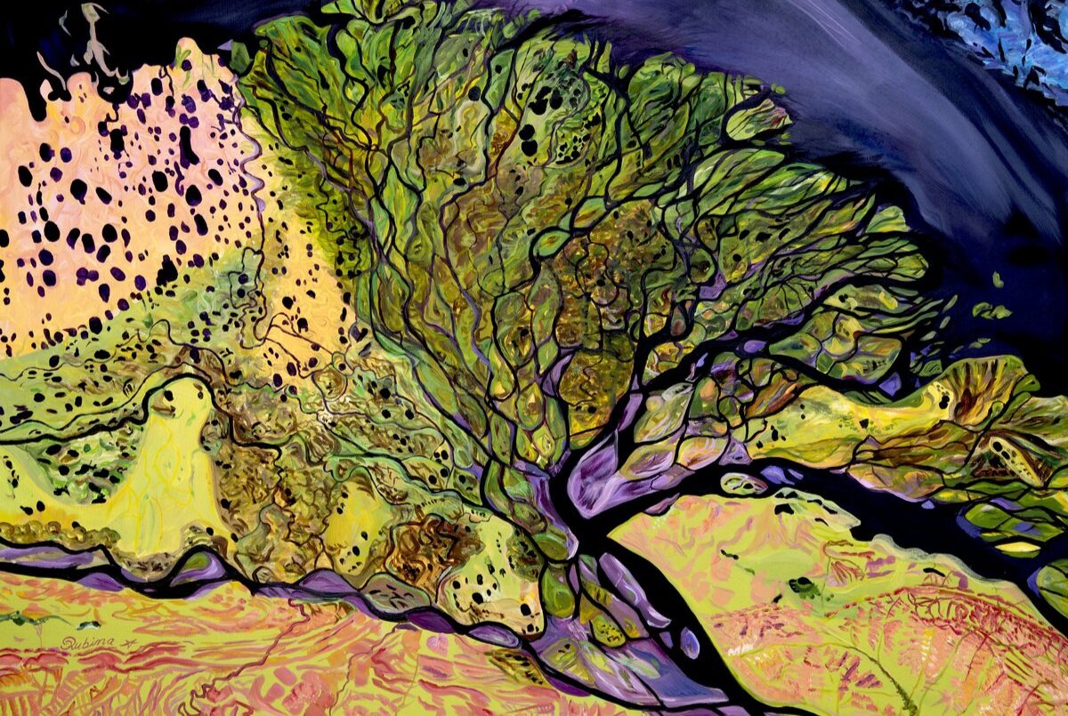 Дельта Лены