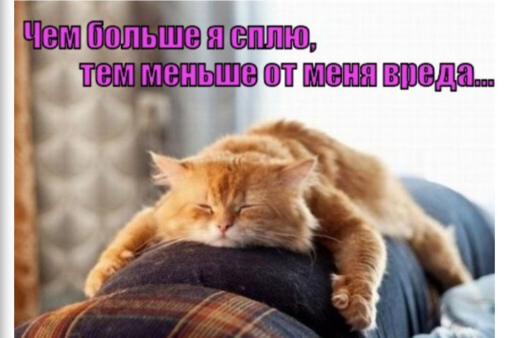 Немножко смешных зверушек... Надёргано , отовсюду