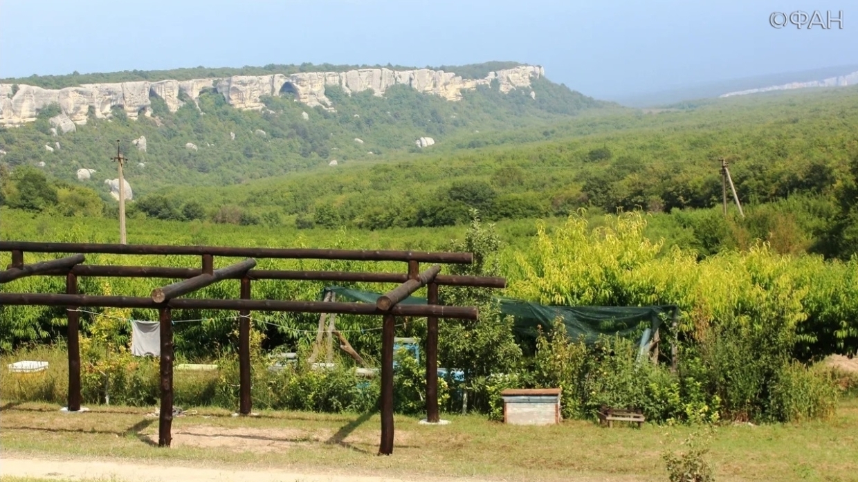 Фермеры рассказали, с какими сложностями сталкиваются при изготовлении вина в Крыму Общество
