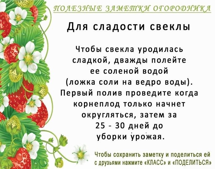 Полезные советы для дачников и огородников картинки