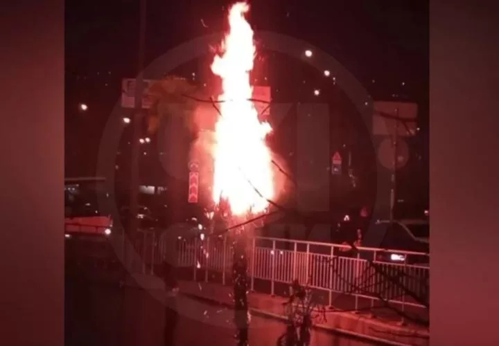 Сочинская полиция ищет подростков, сжёгших на камеру городскую пальму