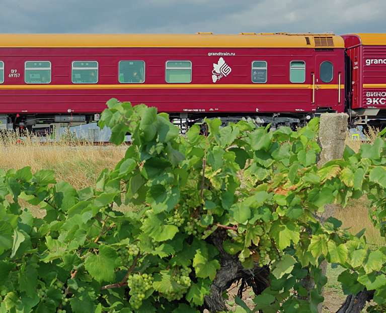 «Виноградный экспресс» продолжит курсирование в Крыму в бархатный сезон