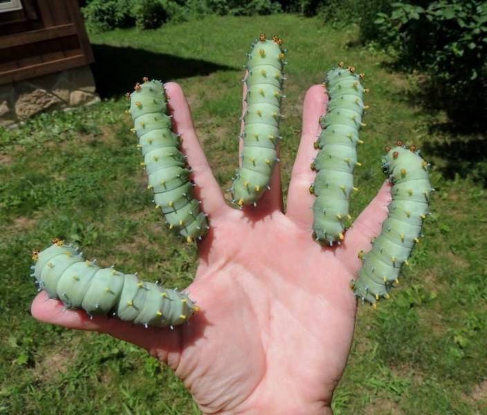 Подборка прикольных картинок Подборка прикольных картинок приколы,смешные картинки,юмор