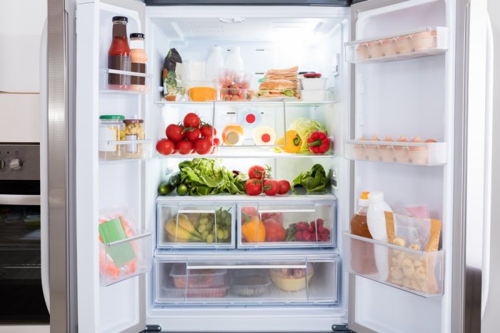 Благодаря холодильникам мы можем хранить продукты и есть мороженое, когда захотим. /Фото: funzone.am