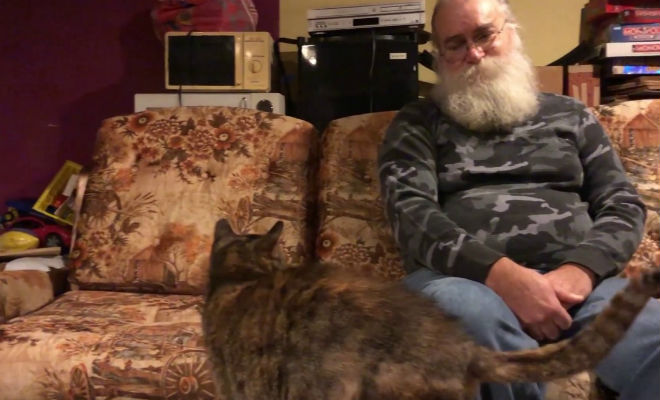 Мужчина купил на распродаже диван, но спать на нем не смог. Он его разобрал и нашел тайник с деньгами