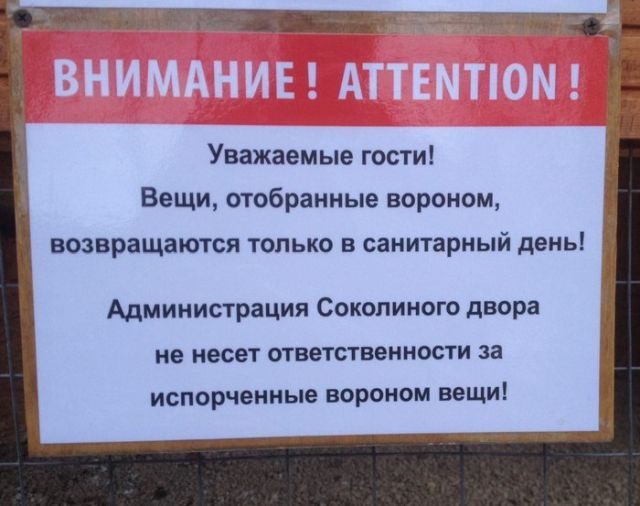 Подборка прикольных фоток!