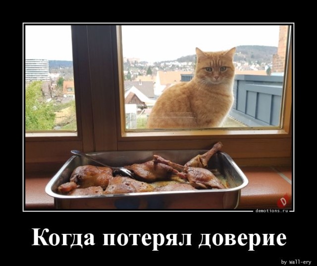 Традиционная коллекция прикольных демотиваторов на любой вкус 