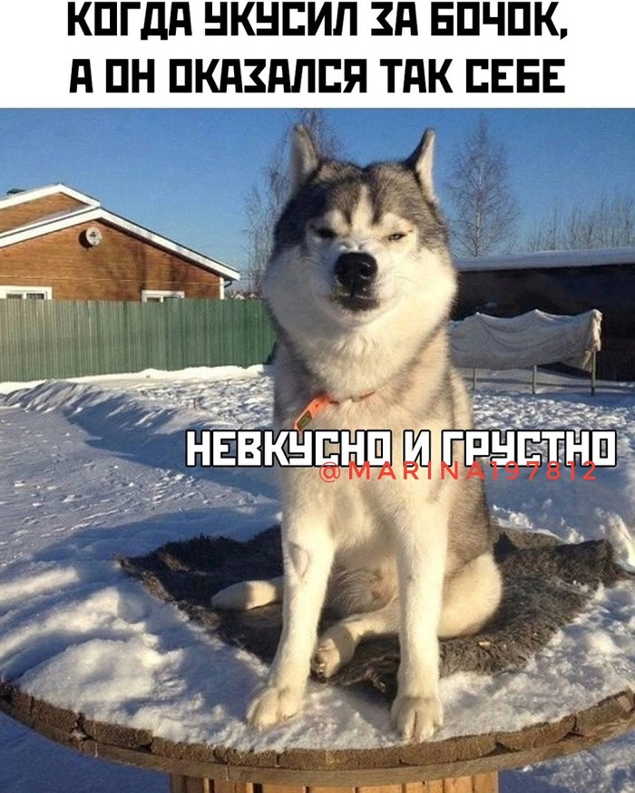 Как мало нужно, чтобы сделать жизнь невыносимой! Камешек в ботинке, таракан в макаронах, женский смех! Как мало нужно, чтобы сделать жизнь невыносимой! Камешек в ботинке, таракан в макаронах, женский смех! Соскучились , моим , картинкам , погналиИнструменты, власти, кнута, запах, пряника , Нутес , пожалуй , закончим , новых , встреч