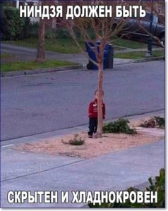 Смешные картинки и мемы с надписями