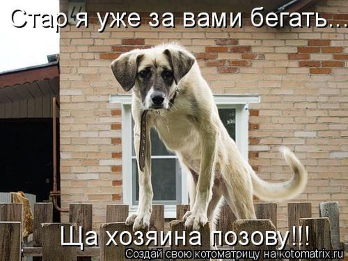 Мысли вслух :)