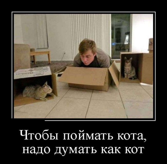 Забавный пост демотиваторов. Свежие приколы