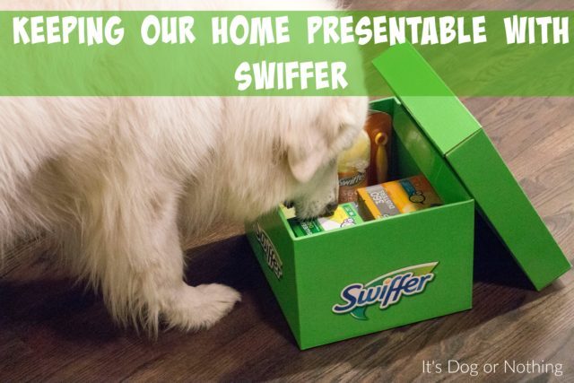 If you have a double-coated dog, how do you handle the fur? If we don't do daily brushing sessions, my home pays the price! Thankfully, Swiffer makes it quick and easy to keep our home fur-free.